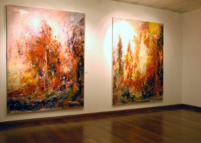 Installation View, “Wresting Vision, Conjuring Place,” Peel Art Gallery, 2010